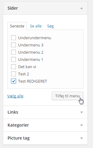 2015-06-18 15_33_41-Menuer ‹ Demo-Menu — WordPress – Google Chrome